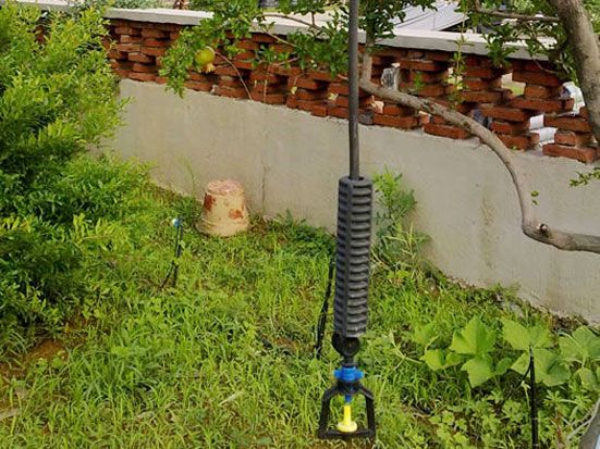 吊掛微噴實拍圖